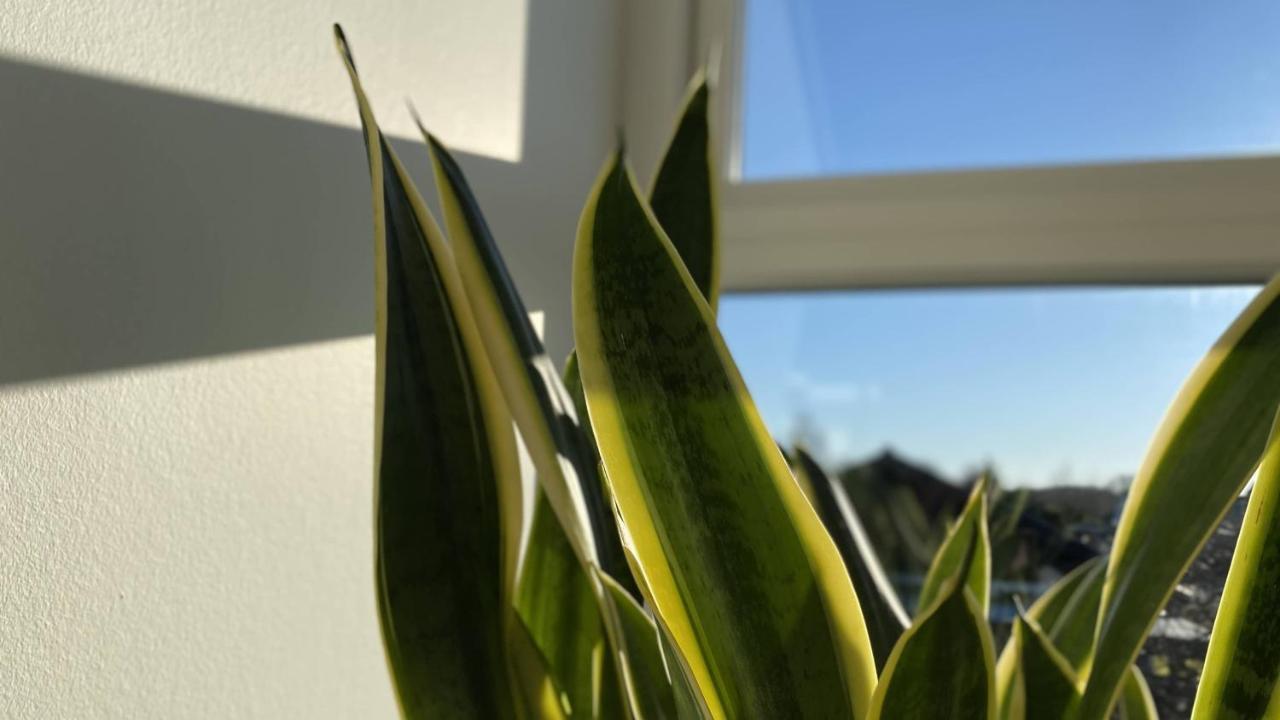 Villa Soholt - Silkeborg Bed And Breakfast Экстерьер фото